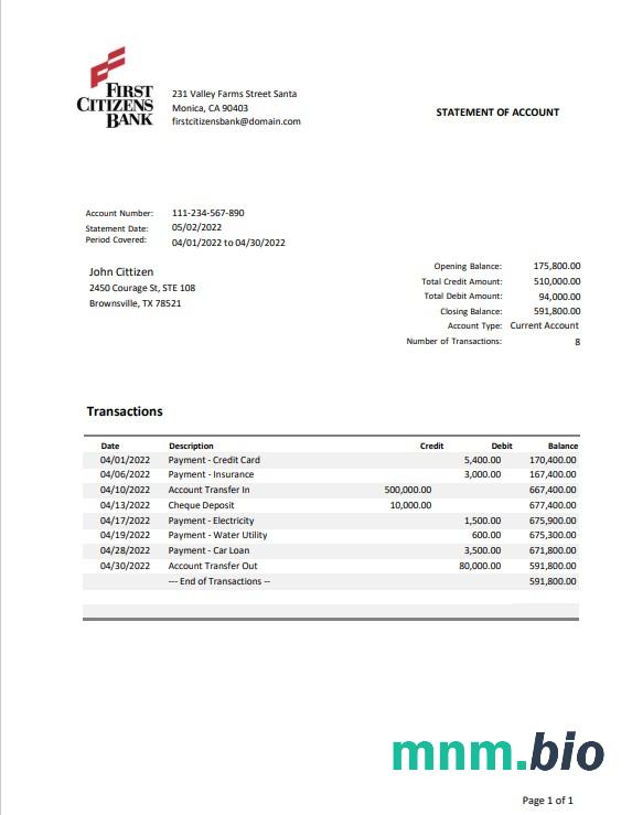 USA Texas First Citizens Bank statement Word i szablon PDF.1